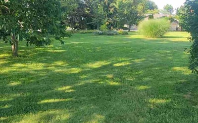 Photo of Sheila M.'s yard after getting lawn care in Norcross, GA