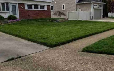 Photo of Stacy S.'s yard after getting lawn care in Springfield, VA