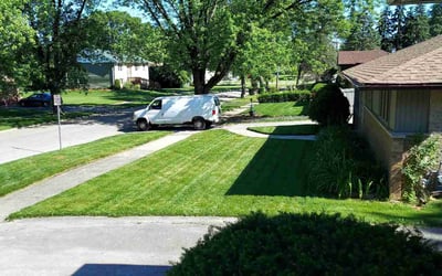 Photo of Melanie P.'s yard after getting lawn care in Matteson, IL