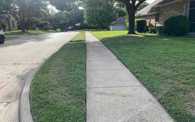 Photo of Lisa S.'s yard after getting lawn care in Crystal, MN