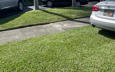 Photo of Takkia R.'s yard after getting lawn care in Opa Locka, FL