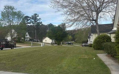 Photo of Tina S.'s yard after getting lawn care in Locust Grove, GA