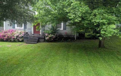 Photo of Alexis W.'s yard after getting lawn care in Nashville, TN