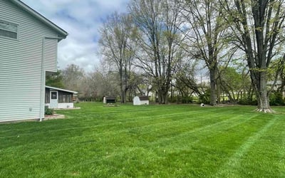 Photo of Janine H.'s yard after getting lawn care in Pickerington, OH