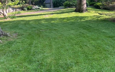 Photo of Susan K.'s yard after getting lawn care in Belmont, MA