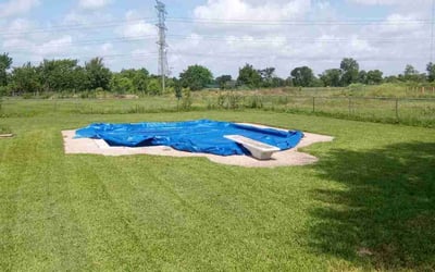 Photo of Bridgett E.'s yard after getting lawn care in Rosharon, TX