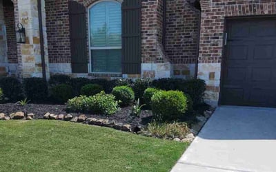 Photo of Omar G.'s yard after getting lawn care in Liberty, TX