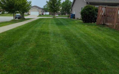 Photo of Joshua Q.'s yard after getting lawn care in Forest Lake, MN
