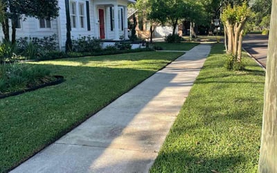 Photo of Shannon B.'s yard after getting lawn care in Jacksonville, FL