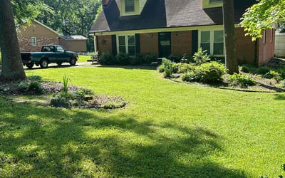 Photo of Roshaun A.'s yard after getting lawn care in San Bernardino, CA