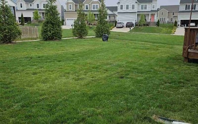 Photo of Andre C.'s yard after getting lawn care in Powhatan, VA