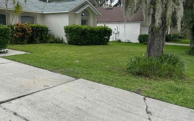 Photo of Latisha C.'s yard after getting lawn care in Hope Mills, NC
