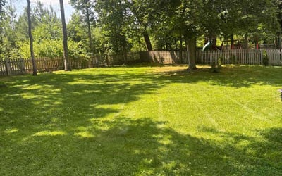 Photo of Gail F.'s yard after getting lawn care in Lincoln, CA