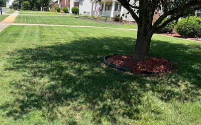Photo of Scott F.'s yard after getting lawn care in Indian Trail, NC