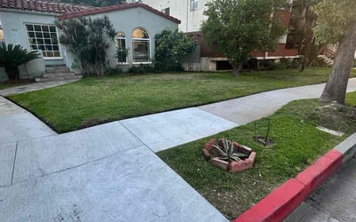 Photo of Moises V.'s yard after getting lawn care in Glendale, CA