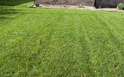 Photo of Christopher N.'s yard after getting lawn care in Boonville, IN