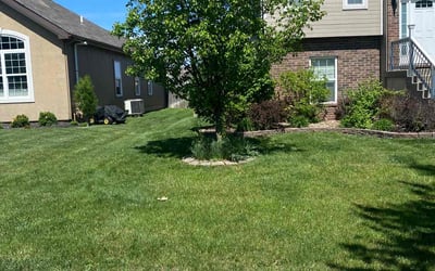Photo of Jeff W.'s yard after getting lawn care in Raymore, MO
