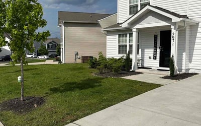 Photo of Brittany R.'s yard after getting lawn care in Visalia, CA