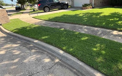 Photo of Terri S.'s yard after getting lawn care in Mission, KS