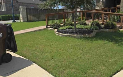 Photo of Katherine P.'s yard after getting lawn care in Comfort, TX