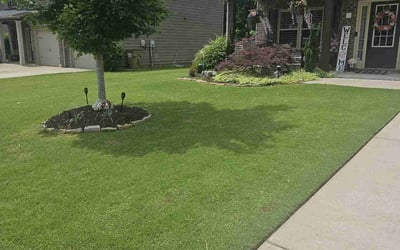 Photo of Lesha S.'s yard after getting lawn care in Erie, PA