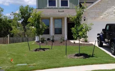 Photo of Natalie R.'s yard after getting lawn care in Mastic, NY