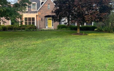 Photo of John M.'s yard after getting lawn care in Brown Deer, WI