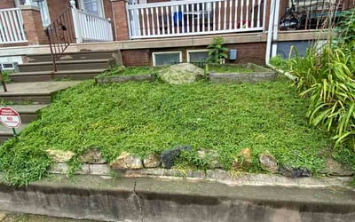 Photo of Kate M.'s yard after getting lawn care in Oak Creek, WI