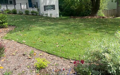 Photo of Grace H.'s yard after getting lawn care in Smyrna, GA