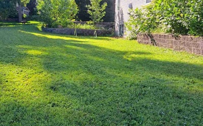 Photo of Peggy W.'s yard after getting lawn care in Fridley, MN