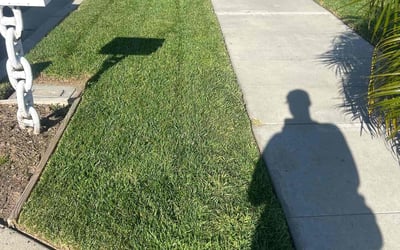 Photo of Charlene D.'s yard after getting lawn care in Orange, CA