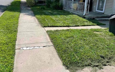 Photo of Diane M.'s yard after getting lawn care in Cambridge, MA