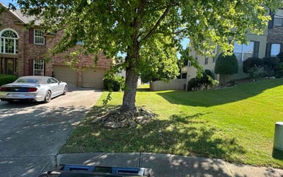 Photo of James B.'s yard after getting lawn care in Reading, MA