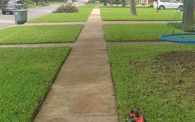 Photo of George M.'s yard after getting lawn care in Millville, NJ