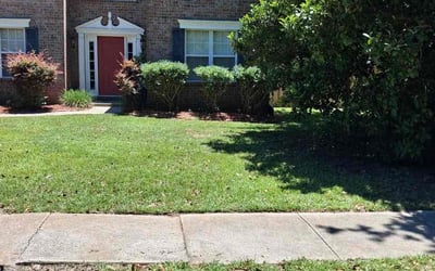 Photo of James B.'s yard after getting lawn care in Blue Bell, PA