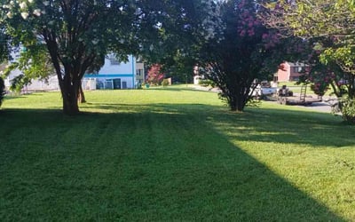 Photo of Mary J.'s yard after getting lawn care in Morgantown, WV