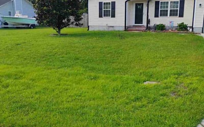 Photo of Andrea P.'s yard after getting lawn care in River Falls, WI