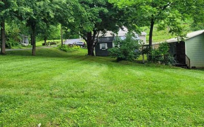 Photo of Tina P.'s yard after getting lawn care in Rockwood, TN