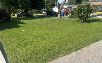 Photo of Rachel S.'s yard after getting lawn care in Mulberry, FL