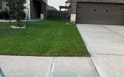 Photo of Barbara B.'s yard after getting lawn care in Bastrop, TX