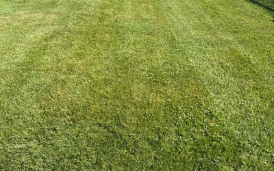 Photo of Kevin J.'s yard after getting lawn care in Bethel, CT