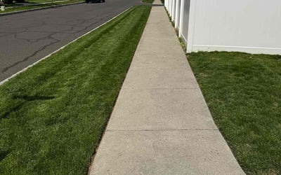 Photo of Deborah S.'s yard after getting lawn care in Feasterville Trevose, PA