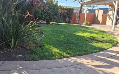Photo of Angelina E.'s yard after getting lawn care in Ventura, CA
