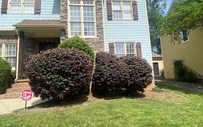 Photo of Chad H.'s yard after getting lawn care in Knoxville, TN