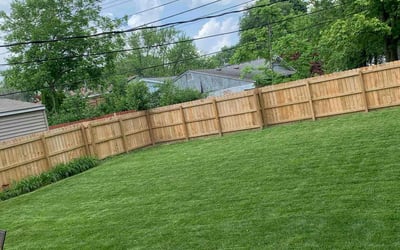 Photo of Jill G.'s yard after getting lawn care in East Northport, NY