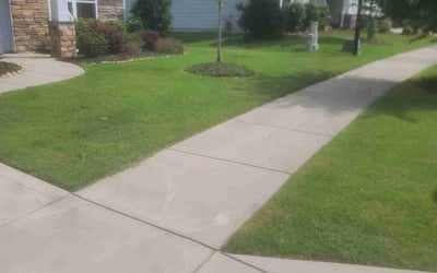 Photo of Mayank R.'s yard after getting lawn care in Fort Mill, SC
