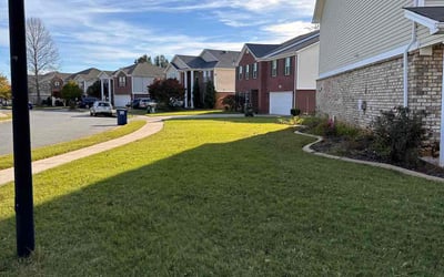 Photo of Denise H.'s yard after getting lawn care in Decatur, AL