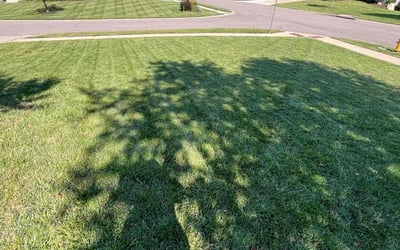 Photo of Kathryn F.'s yard after getting lawn care in Lacygne, KS