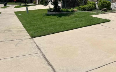 Photo of Tomeka H.'s yard after getting tree care in Frankfort, IL