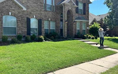 Photo of Melissa C.'s yard after getting lawn care in Sachse, TX